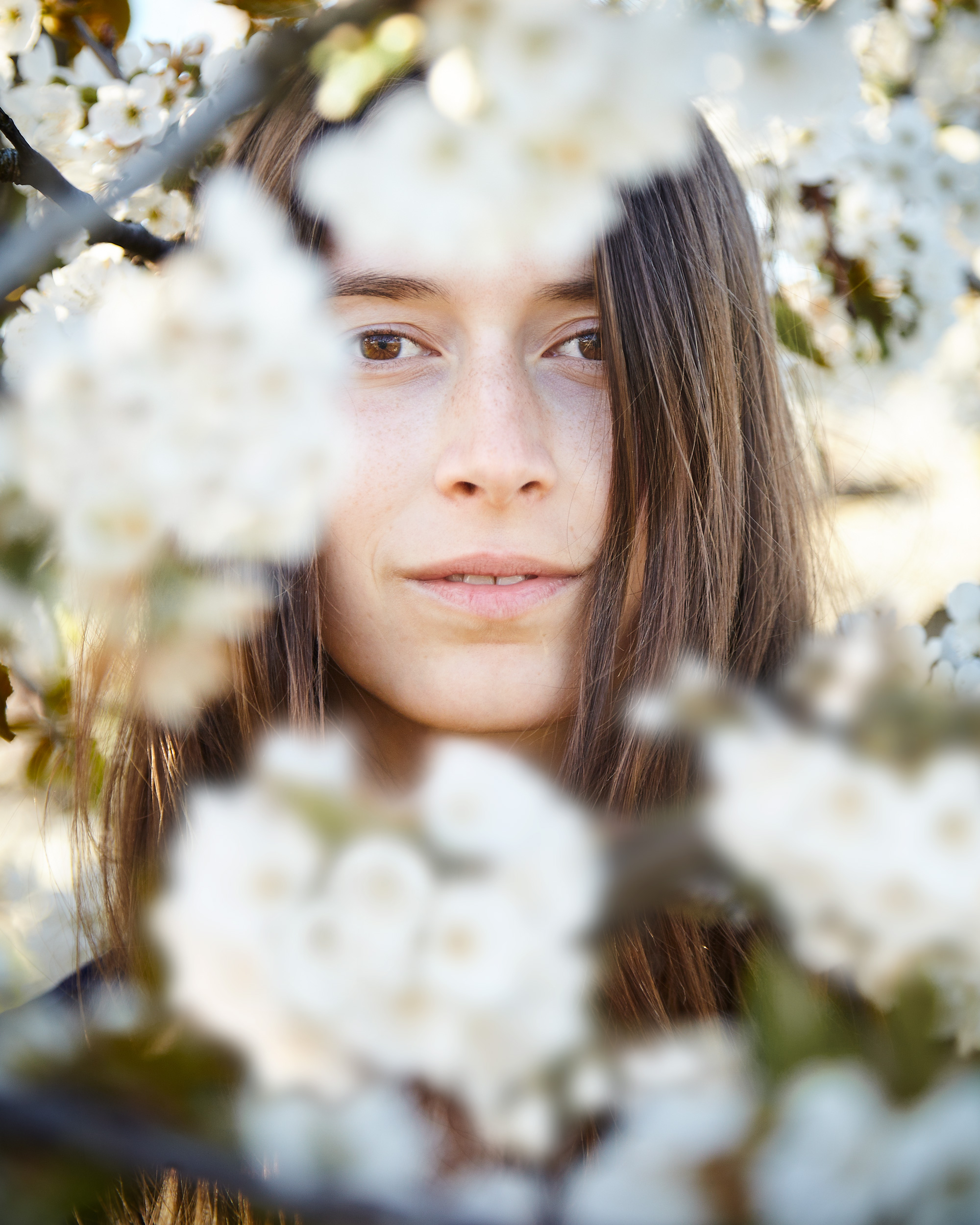 Portraits 1